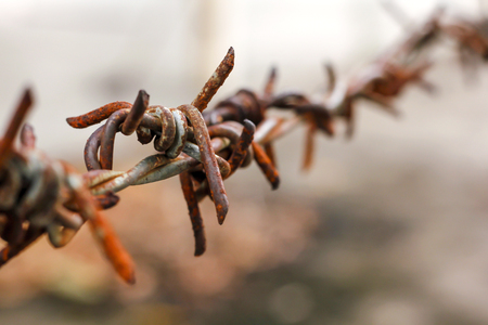 Old barbed wire at the rusted fenceの写真素材