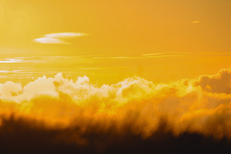Silhouettes grass with an orange light.の写真素材