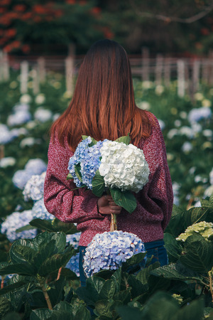 Women standing holding hydrangea flowersの写真素材