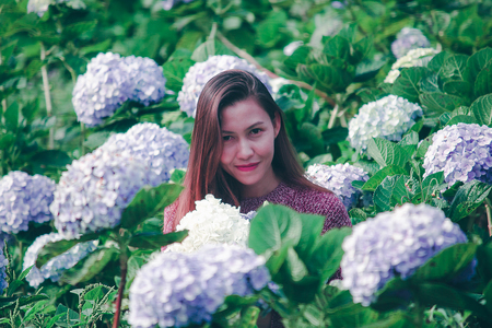 Women sitting in the garden of hydrangea flowersの写真素材