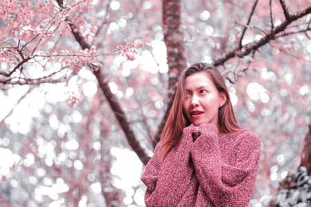 Women standing under the trees that bloom pink, beautiful in winter.の写真素材