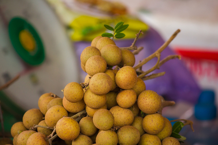 Longan fruit is delicious fruitの写真素材