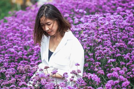 Women in the Verbena field are blooming and beautiful in the rainy season.の写真素材