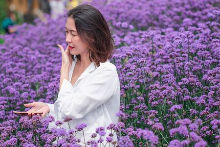 Women in the Verbena field are blooming and beautiful in the rainy season.の写真素材