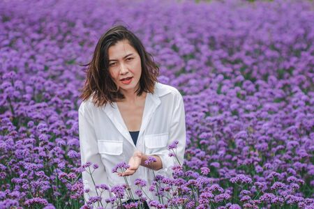 Women in the Verbena field are blooming and beautiful in the rainy season.の写真素材