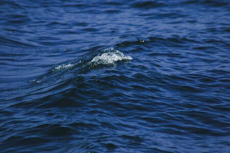 Sea water splashes, splashes of waves, views of the sea,close up the sea water surfaceの写真素材