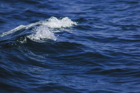 Sea water splashes, splashes of waves, views of the sea,close up the sea water surfaceの写真素材