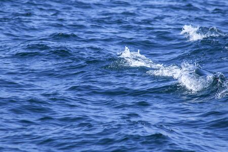 Sea water splashes, splashes of waves, views of the sea,close up the sea water surfaceの写真素材
