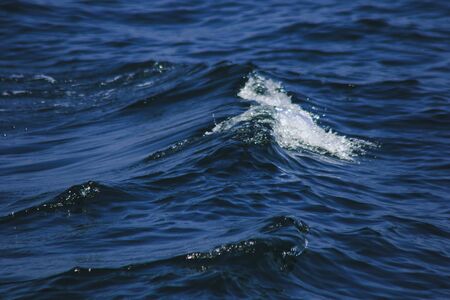 Sea water splashes, splashes of waves, views of the sea,close up the sea water surfaceの写真素材