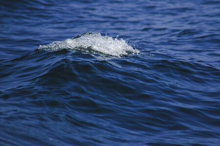 Sea water splashes, splashes of waves, views of the sea,close up the sea water surfaceの写真素材