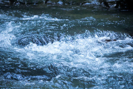 The river flows along the gorges in the forest streams.の写真素材
