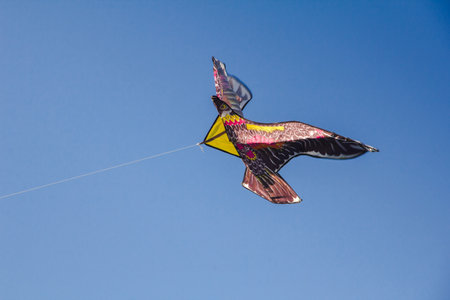 eagle kite in the sky
.An eagle kite glides against the wind in the sky.の写真素材