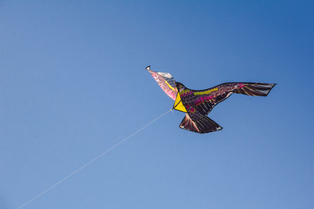eagle kite in the sky
.An eagle kite glides against the wind in the sky.の写真素材