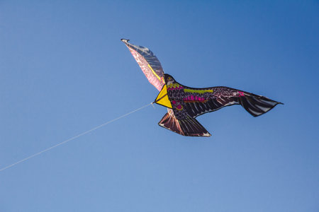 eagle kite in the sky
.An eagle kite glides against the wind in the sky.の写真素材