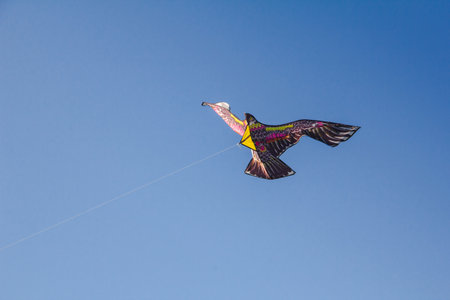 eagle kite in the sky
.An eagle kite glides against the wind in the sky.の写真素材
