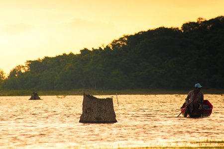 Silhouette of a man rowing a boat in a pond in the eveningの写真素材