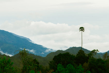 Misty clouds float above the mountains.