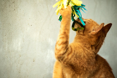 Orange cats play with ribbons or stringy objects, stimulating their hunting instincts.
