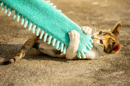 When kittens play with feather dusters or fluttering threads, their brains immediately signal them...