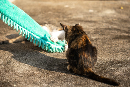 When kittens play with feather dusters or fluttering threads, their brains immediately signal them...