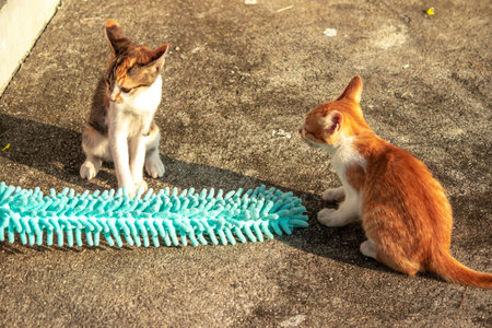 When kittens play with feather dusters or fluttering threads, their brains immediately signal them...