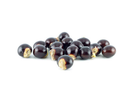 Longan seed. fresh longan isolated on white backgroundの写真素材