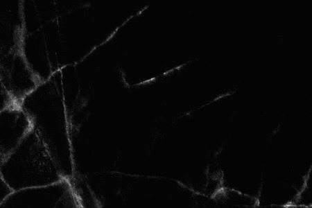Black marble natural pattern for background, abstract natural marble black and white for design.の写真素材