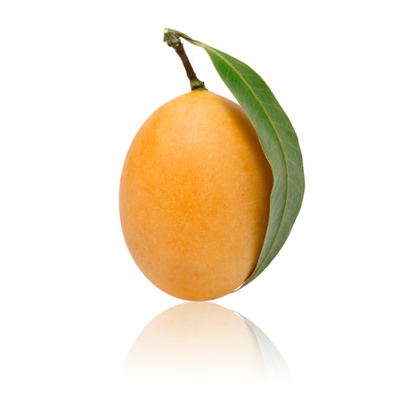 Sweet Marian plum thai fruit isolated on white background (Mayongchid. Maprang Marian Plum. Plum Mango. Maigchid,Thailand)の写真素材