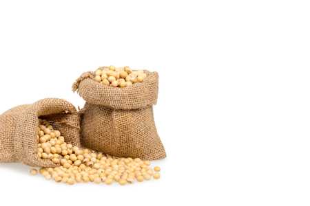 Soybeans isolated on white background, empty space for design.の写真素材