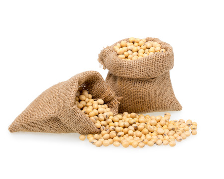 Soybeans isolated on white background.の写真素材
