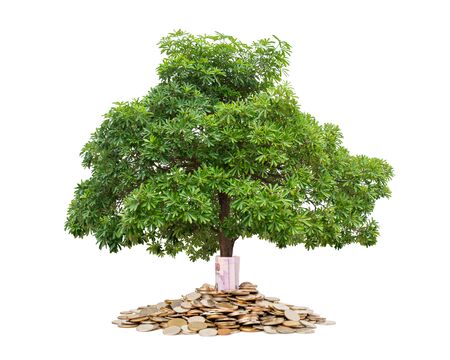tree and coins, tree growing from pile of coinsの写真素材