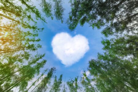 Heart shaped cloud over blue sky surrounded by pine trees. White cloud in the shape of hearts in the blue sky surrounded by pine trees.の写真素材
