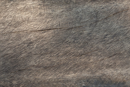 Old wood plank texture for background.の写真素材