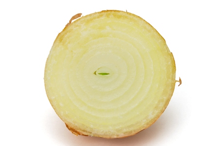 Cut circle onion on the white background.の写真素材