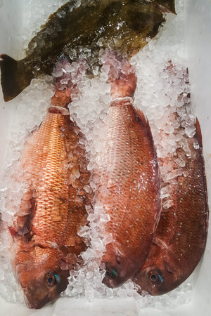 A Photo of Red Sea Bream or Madai at fish market.