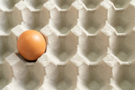 Photo of an egg in the egg tray.