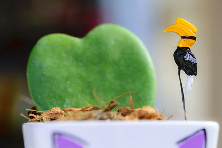 Photo of the decorated a hornbill on the heart shaped potの写真素材