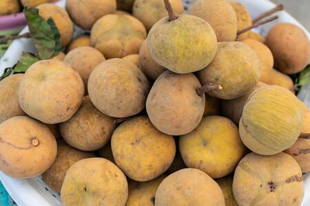A pile of Santol or cotton fruit at the fruit market in Thailandの写真素材