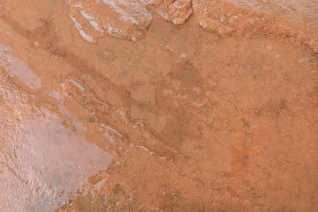 The wet orange stone background.