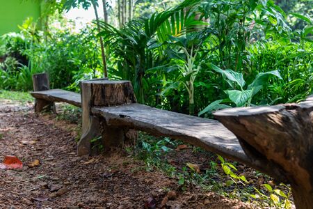 A wooden bench in the forest.の写真素材