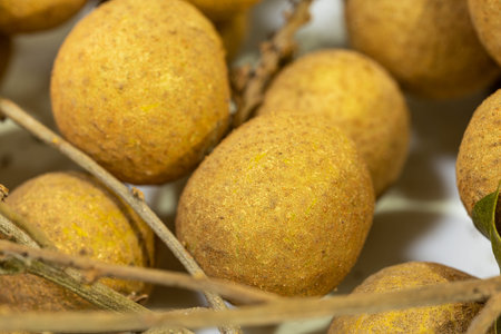 Macro shot of a bunch of longan