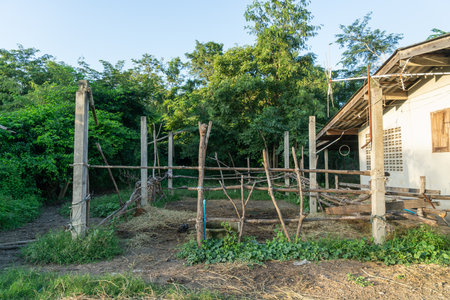 A small cattle pen that a farmer simply built from wood.の写真素材