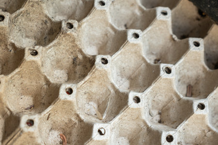 Photo of an empty egg tray.の写真素材