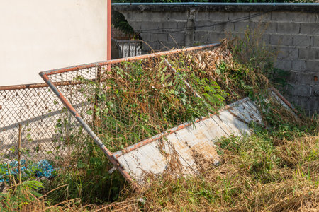 A piece of an old iron fence that had been left there for so long that it was covered with vegetation.の写真素材