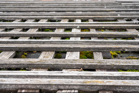 Background photo of wooden latticework.の写真素材