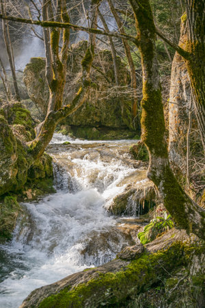 Waterfall in the forest. The river flows through the forest.の写真素材