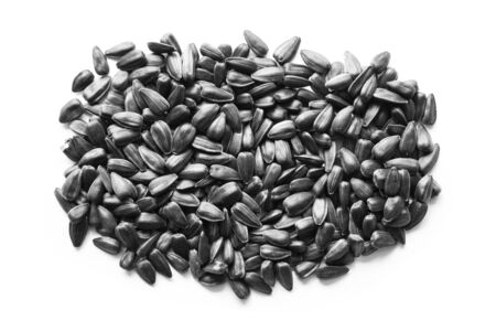Closeup pile of black sunflower seeds isolated on white background.の写真素材