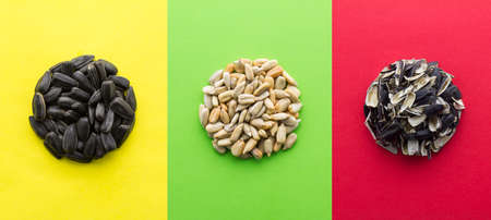 Three round piles of black roasted sunflower seeds, peeled sunflower seeds and husk on yellow, green and red paper background.の写真素材