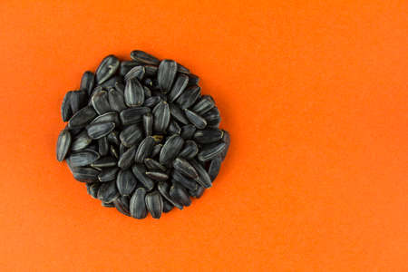 Round pile of appetizing roasted sunflower seeds on red paper background.の写真素材