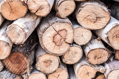 Pile of wood logs for winterの写真素材
